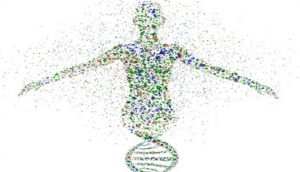 גנים וגאוט, איור של דמות כ DNA