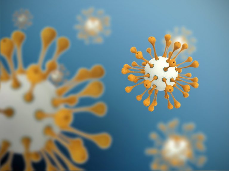 אנימציה של וירוסים בגוף